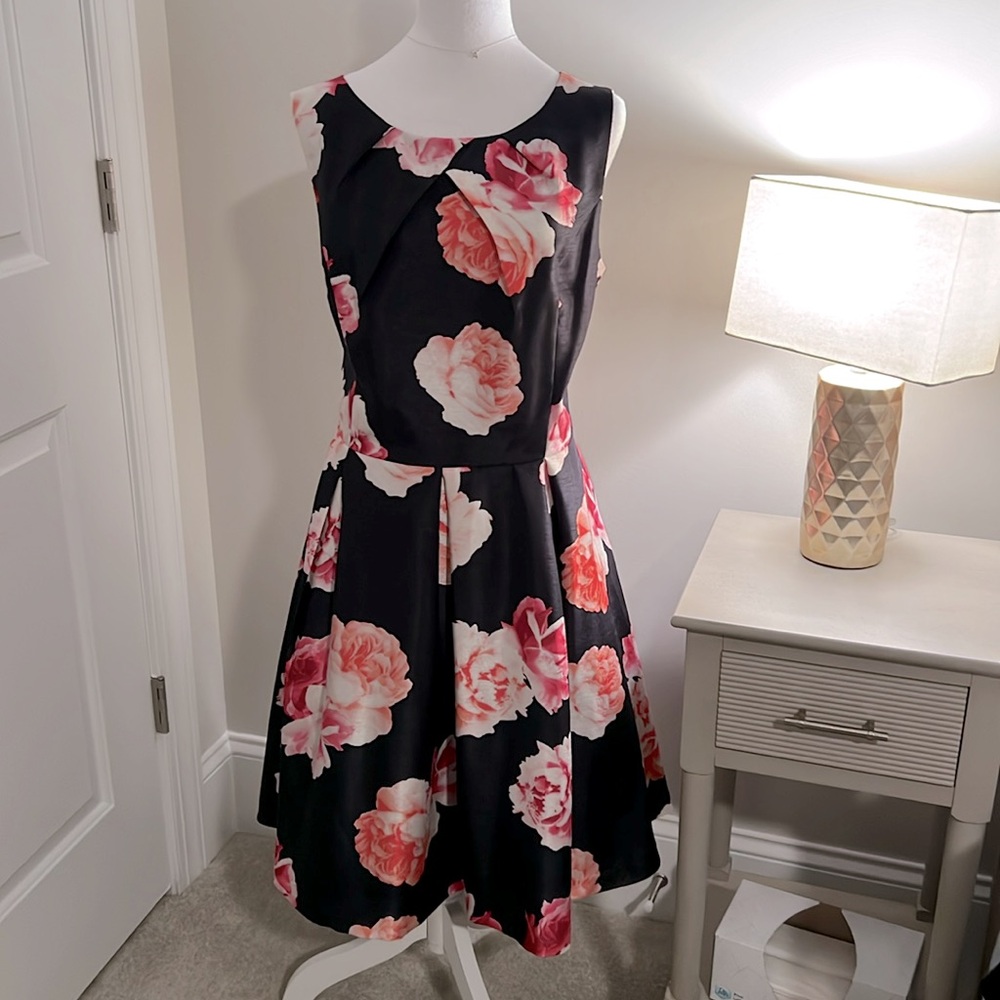 Jessica H size 14  dress.